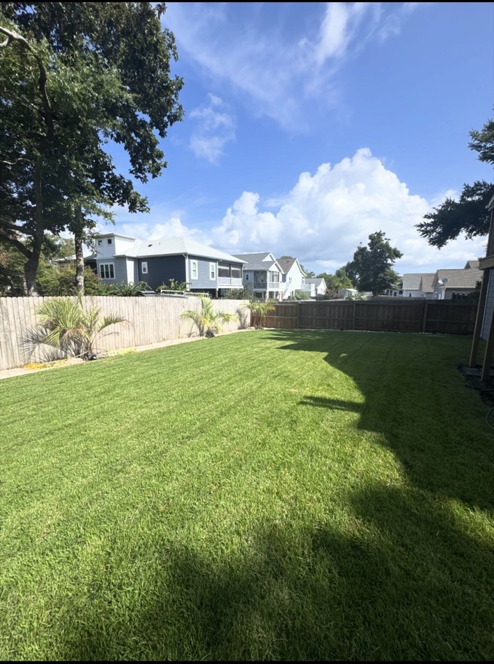 Freshly mowed green lawn