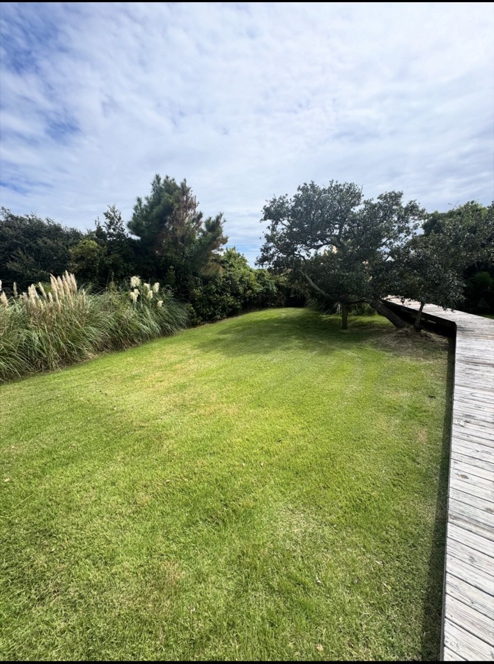 Large coastal lawn maintained by Island to Inland Lawn Service